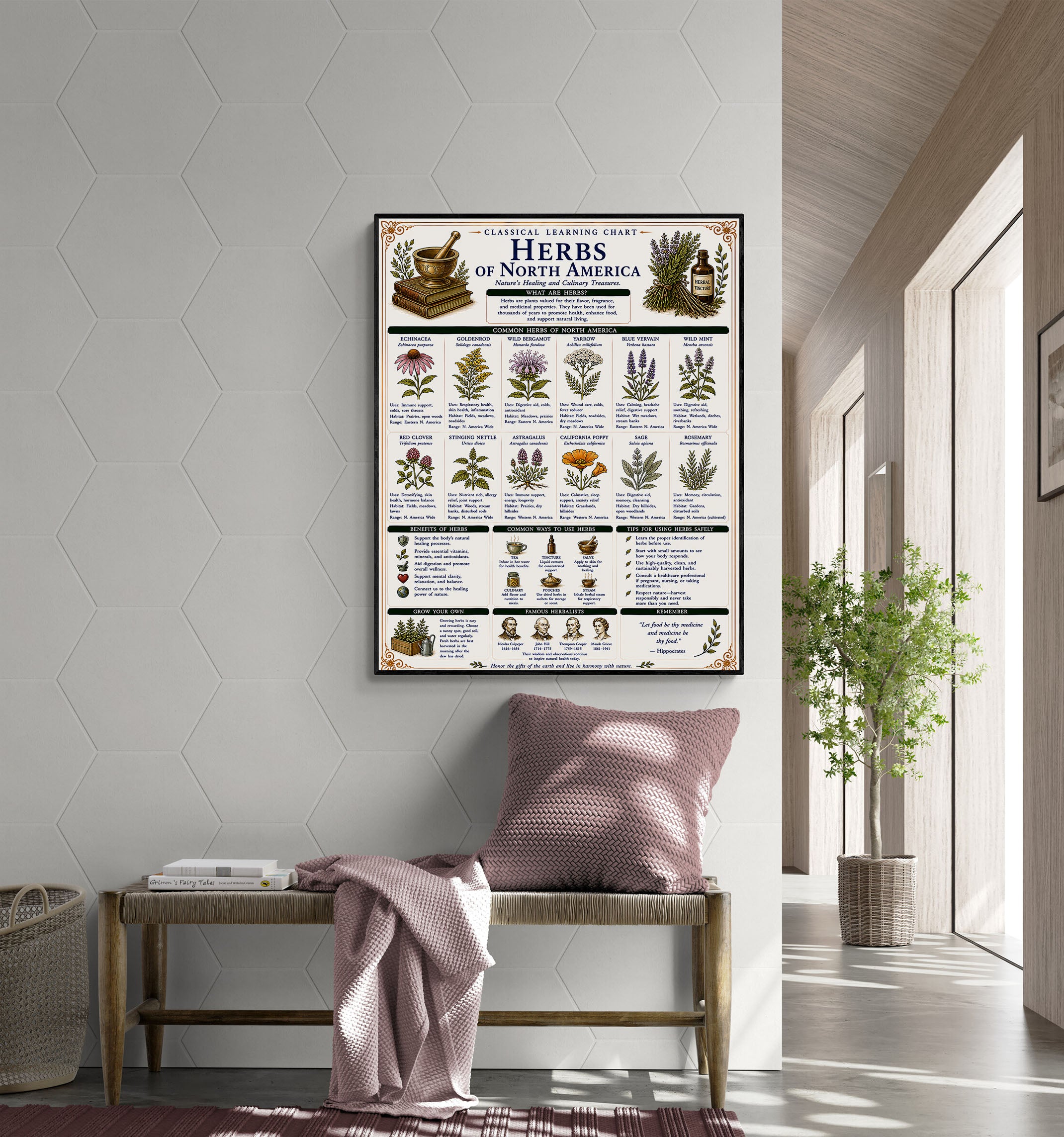 Herbs of North America Classical Learning Chart