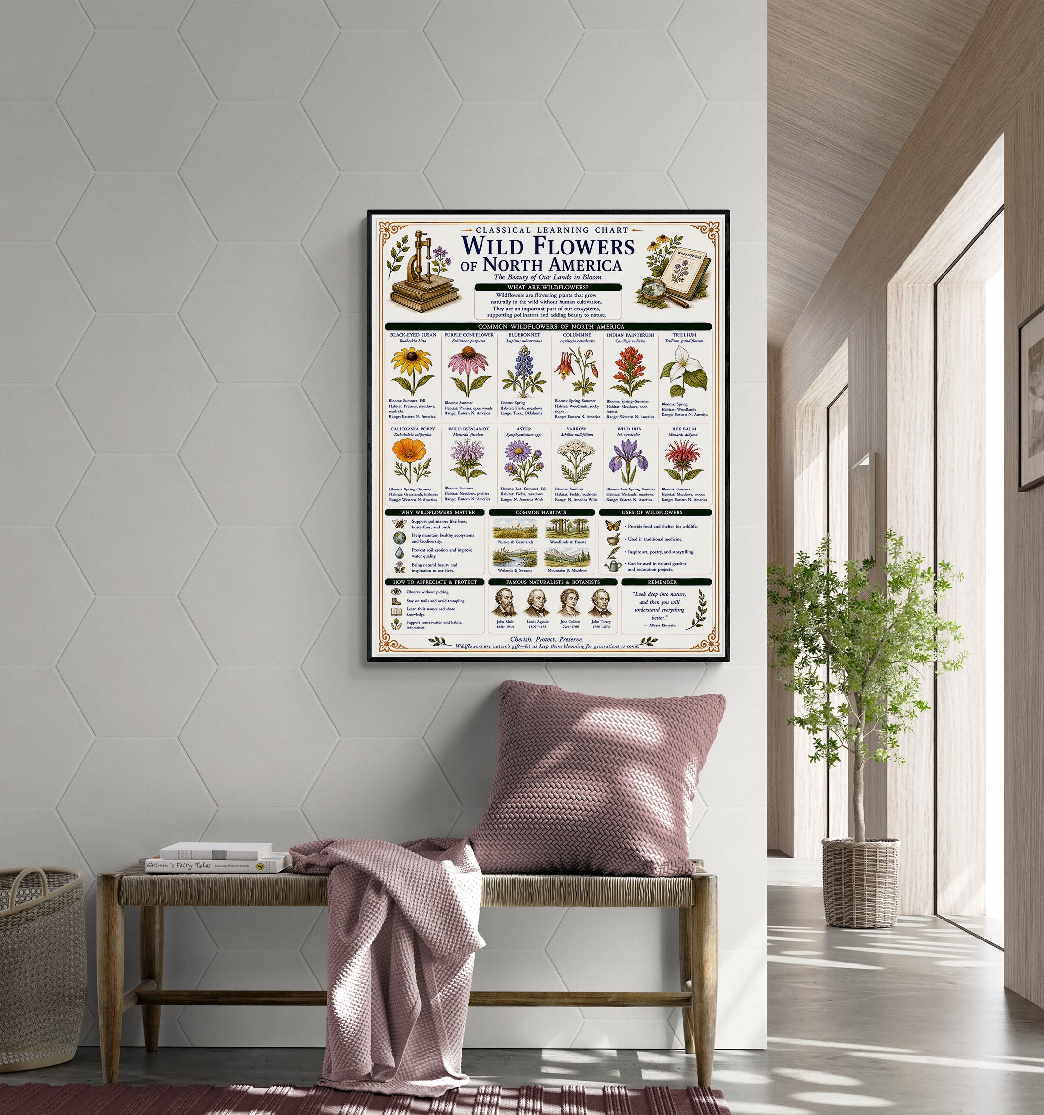 Wild Flowers of North America Classical Learning Chart