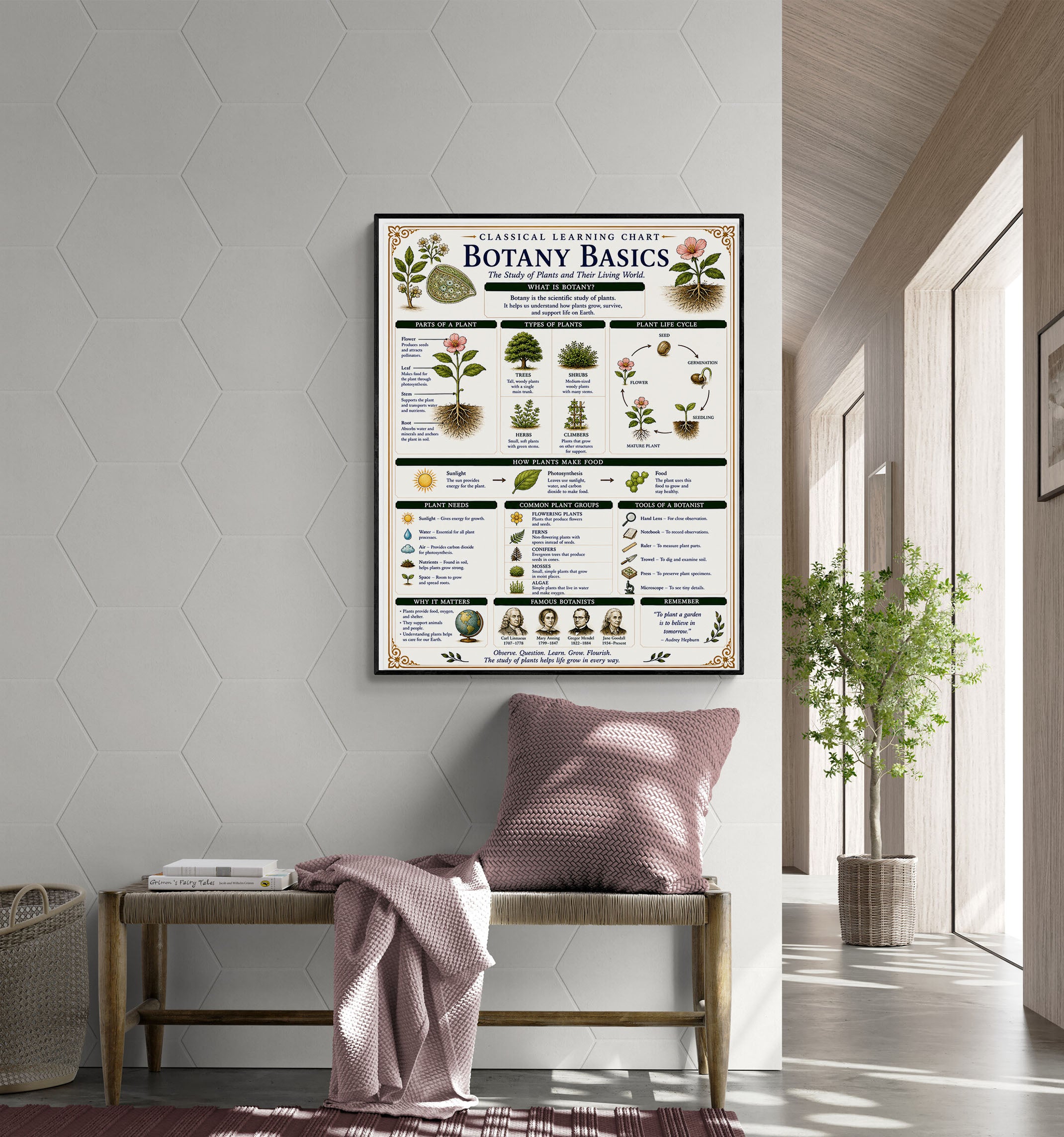 Botany Basics Classical Learning Chart