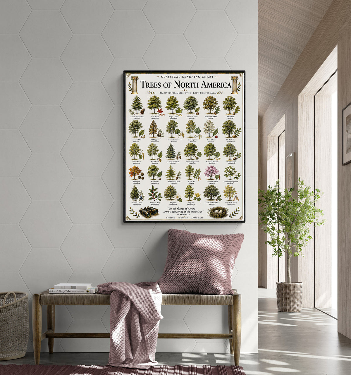 Trees of North America Educational Chart