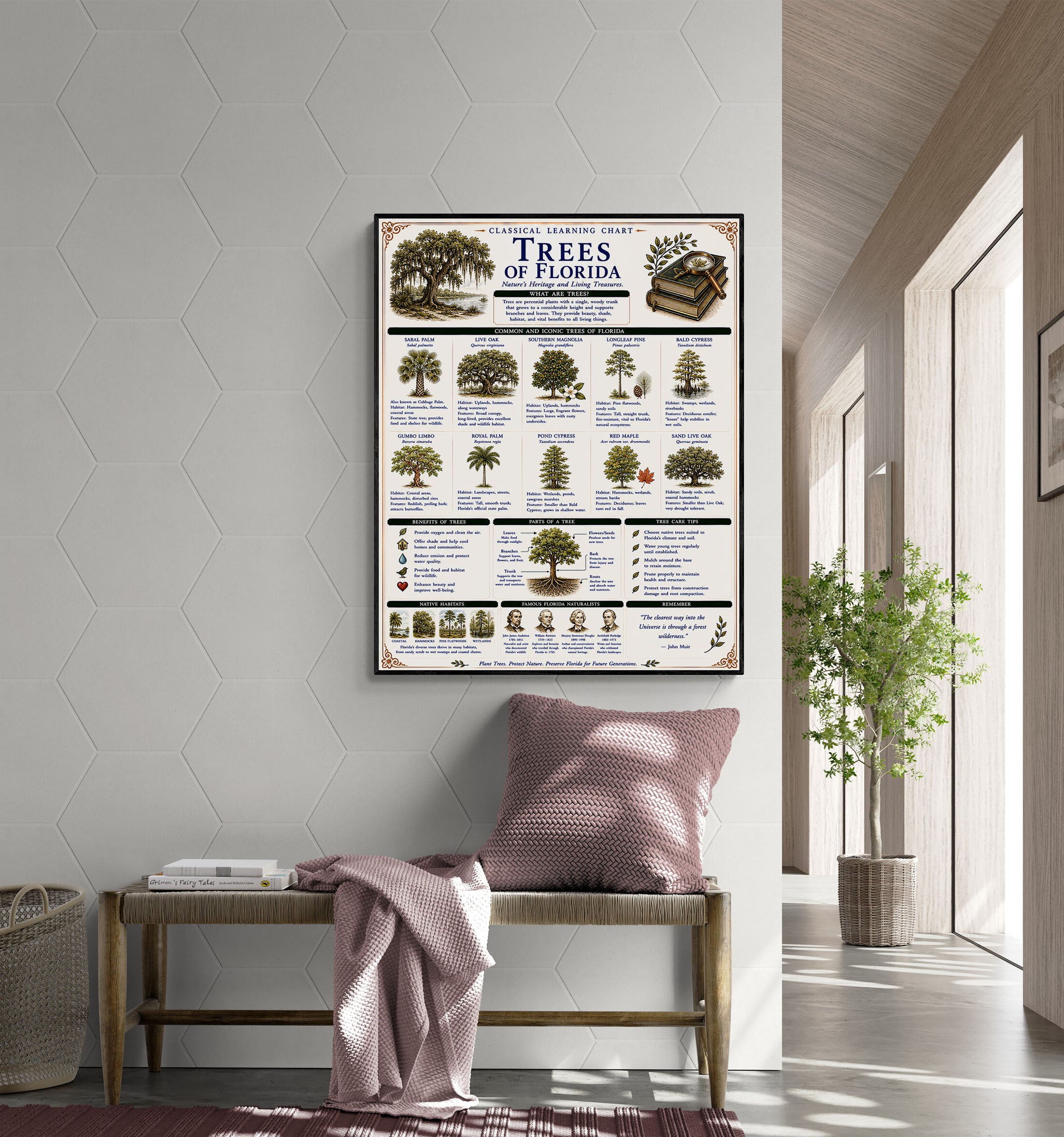 Trees of Florida Classical Learning Chart