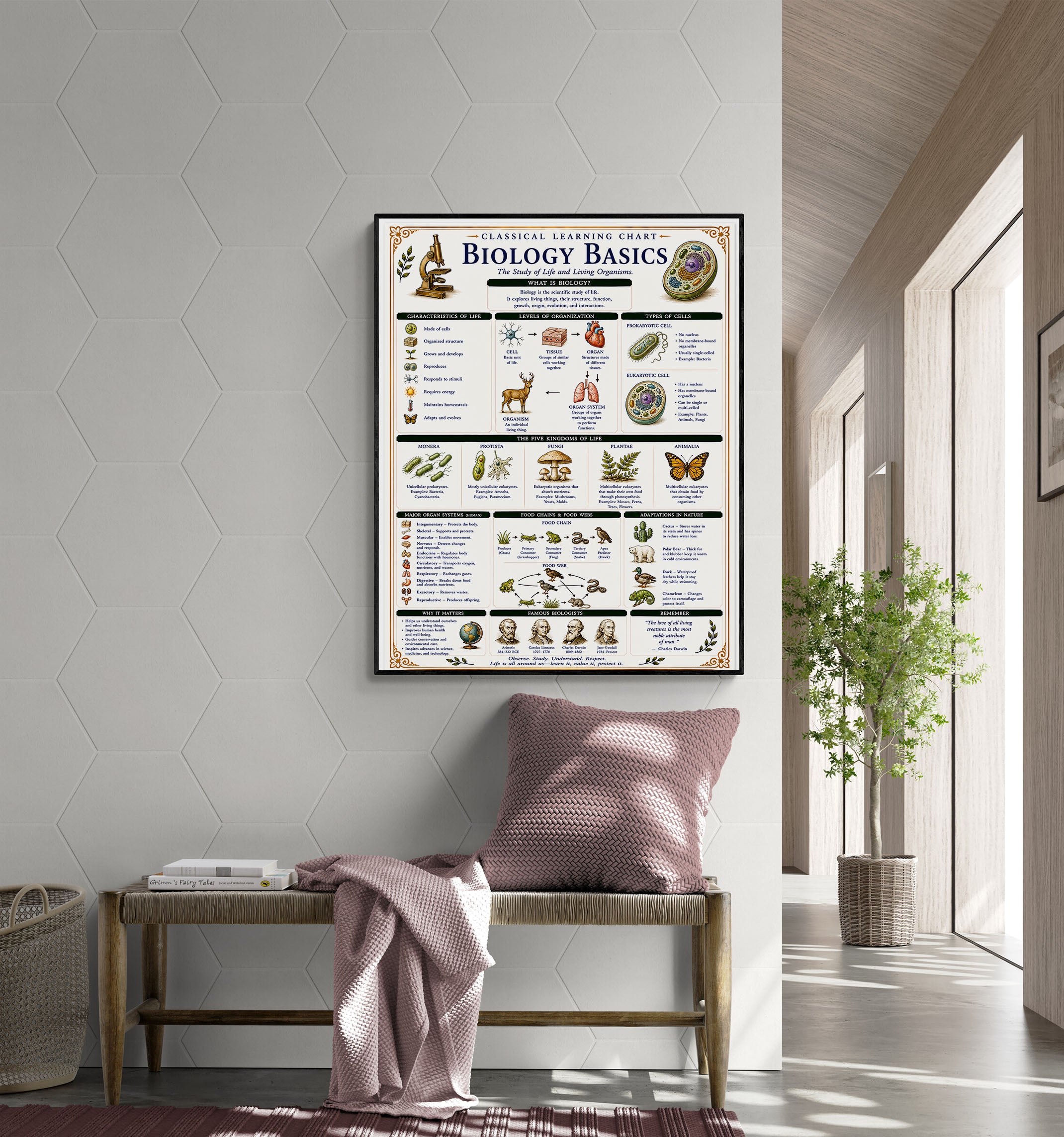 Biology Basics Classical Learning Chart