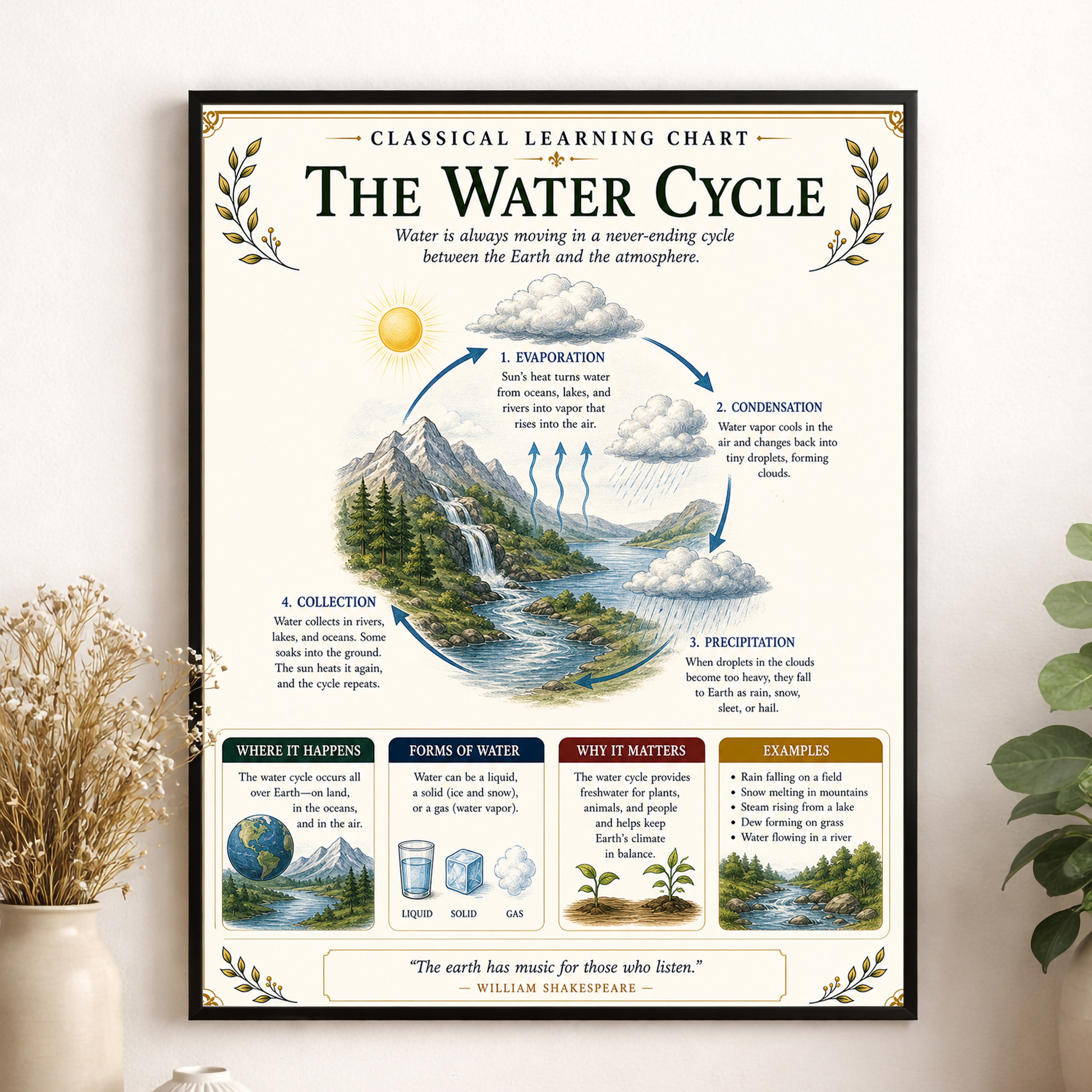 Water Cycle Educational Chart