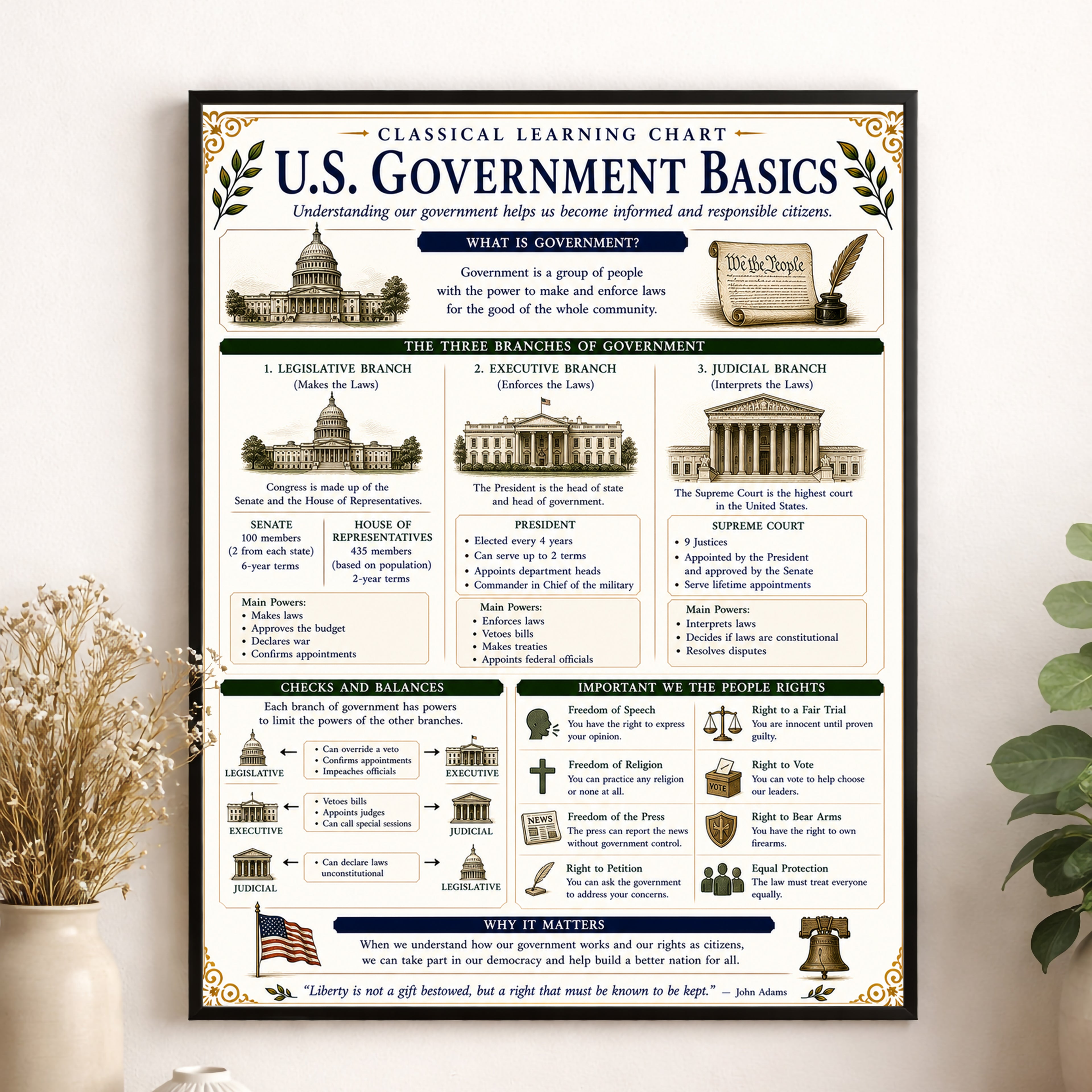U.S. Government Basics Educational Chart