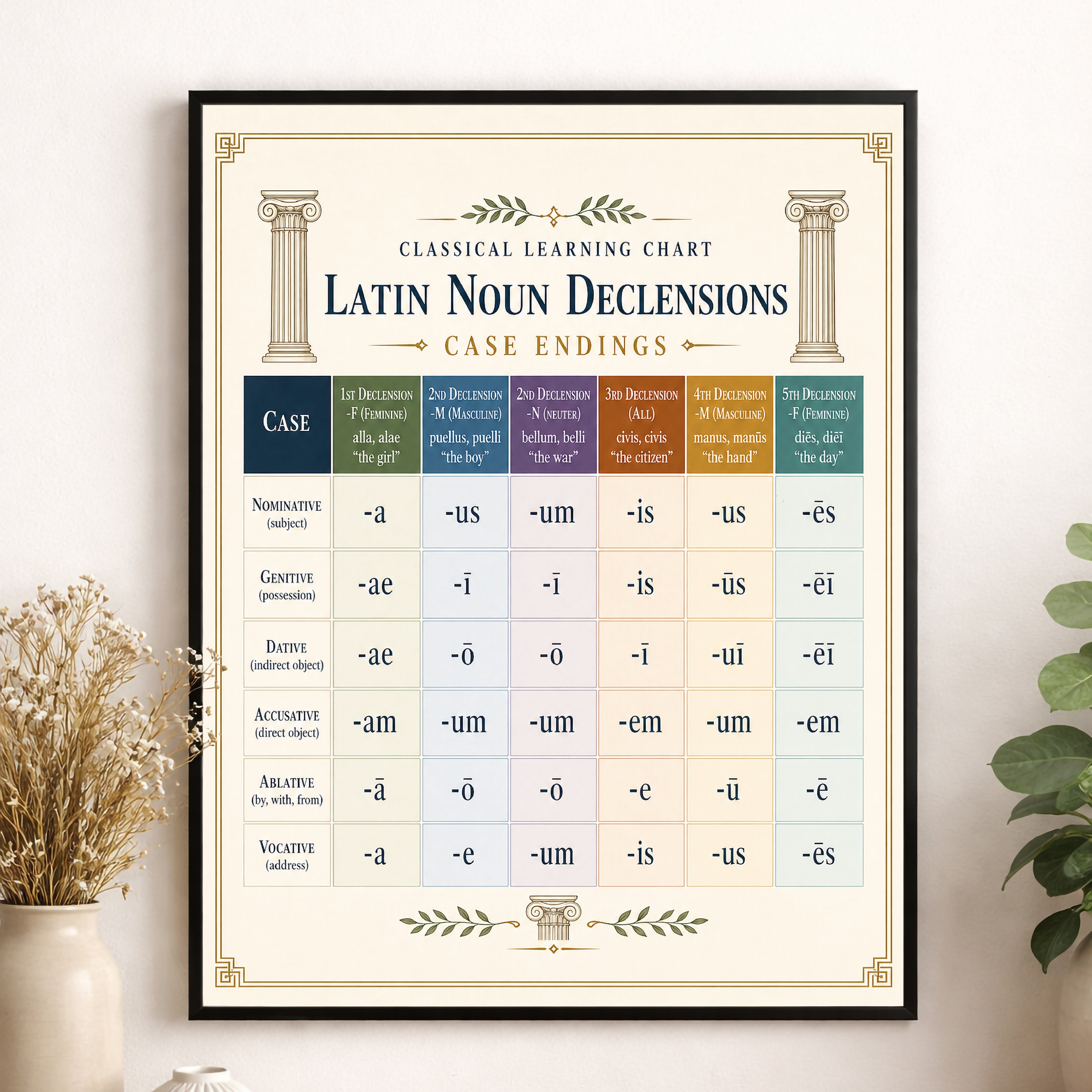 Latin Noun Declensions Educational Chart