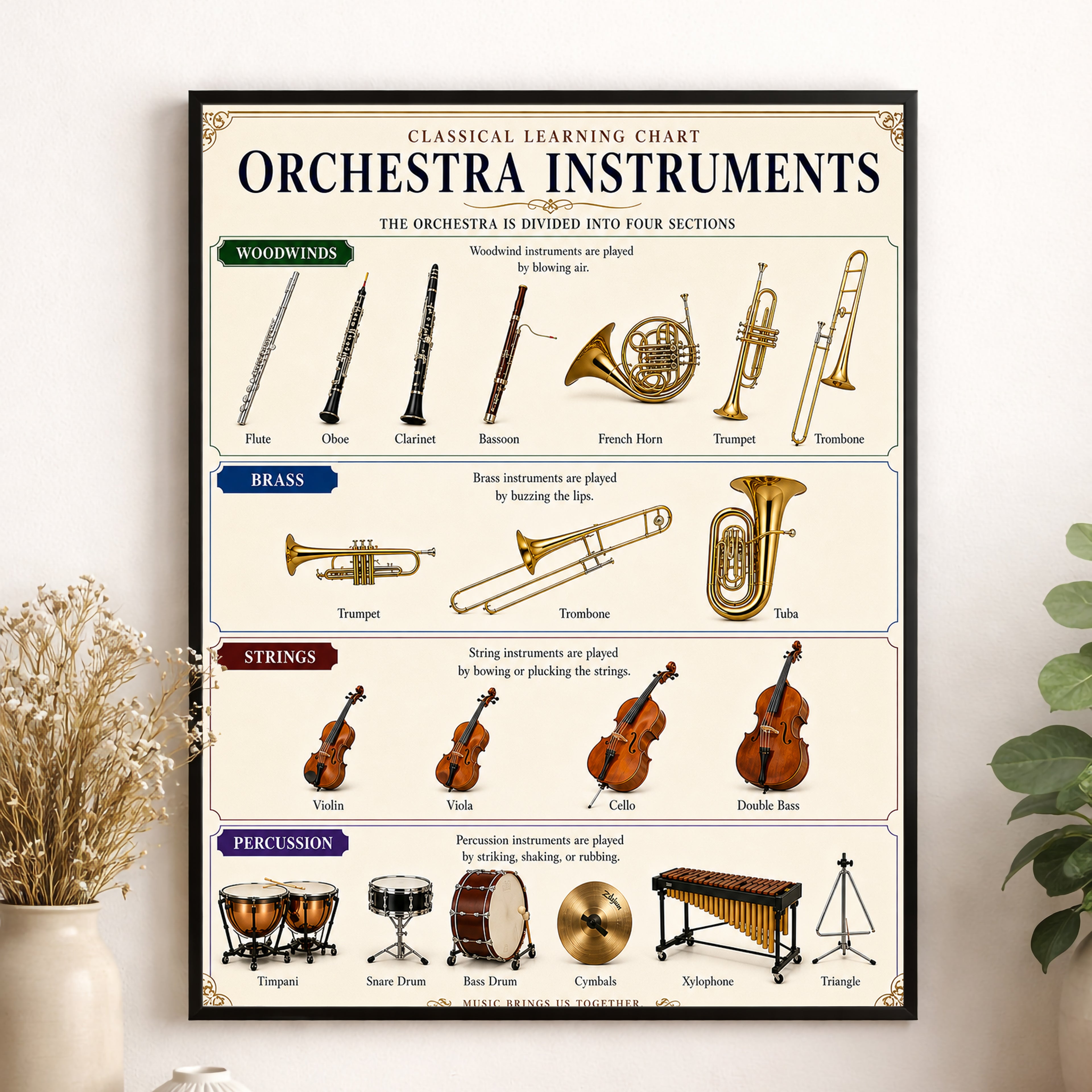 Orchestra Instruments Educational Chart