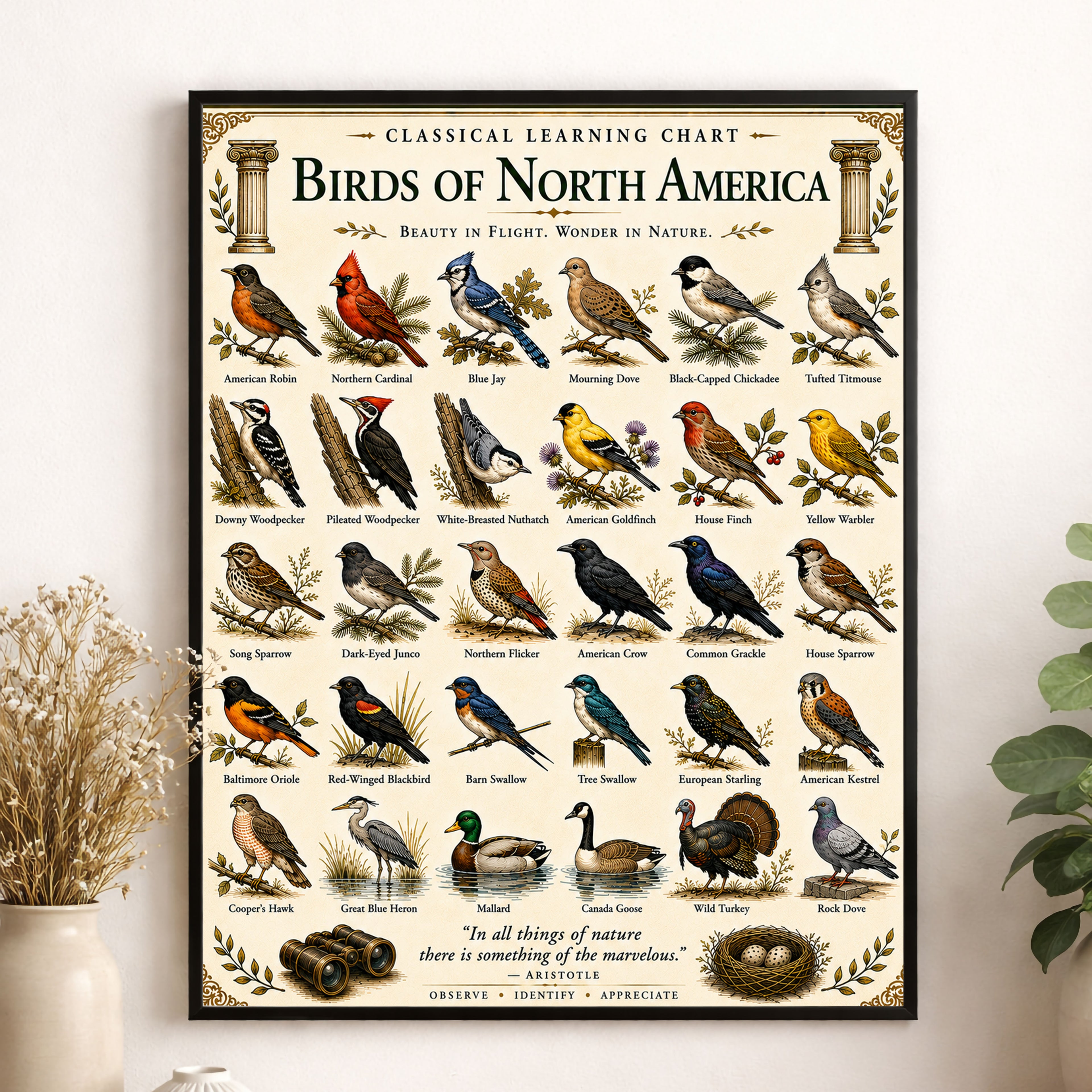Birds of North America Educational Chart