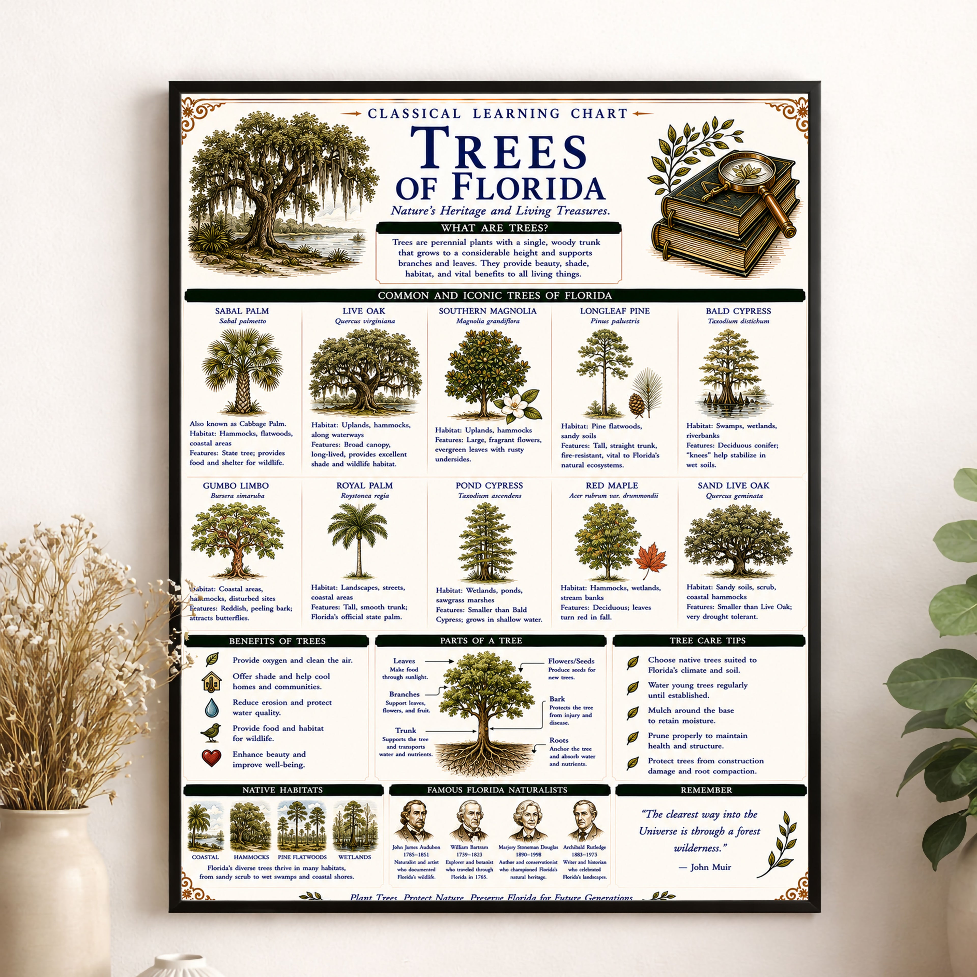 Trees of Florida Classical Learning Chart