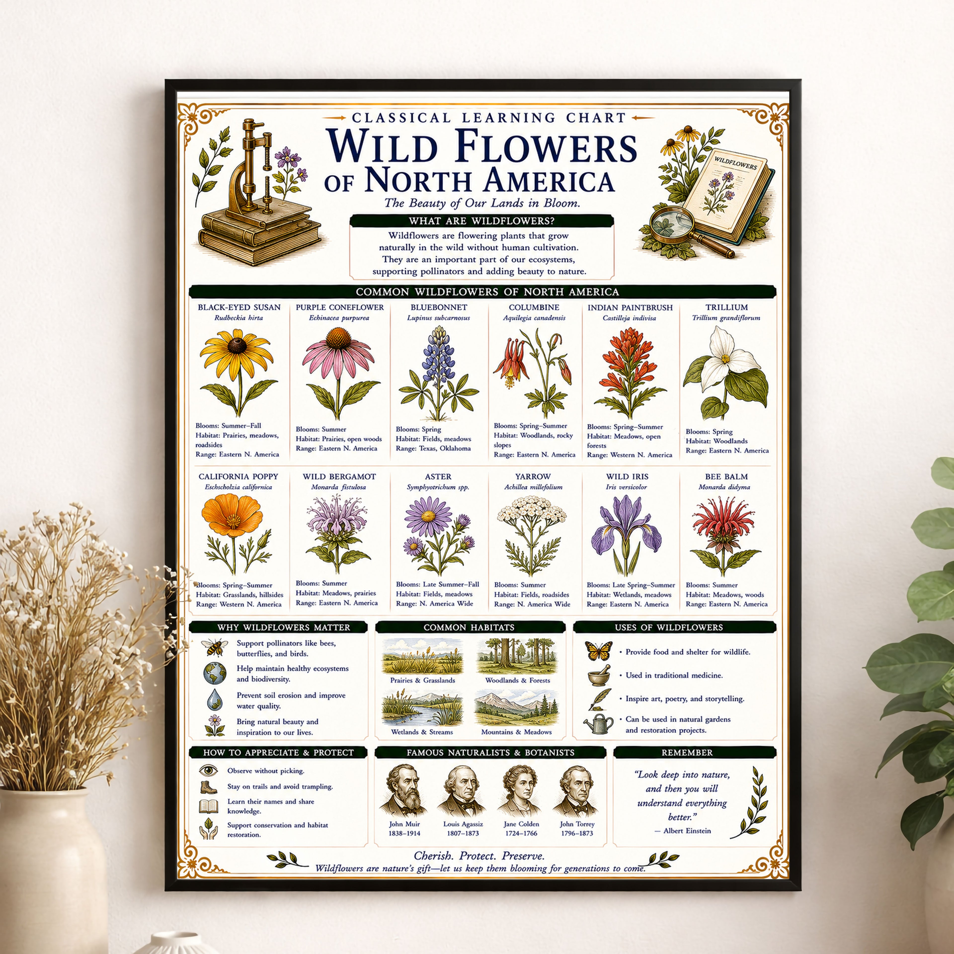 Wild Flowers of North America Classical Learning Chart